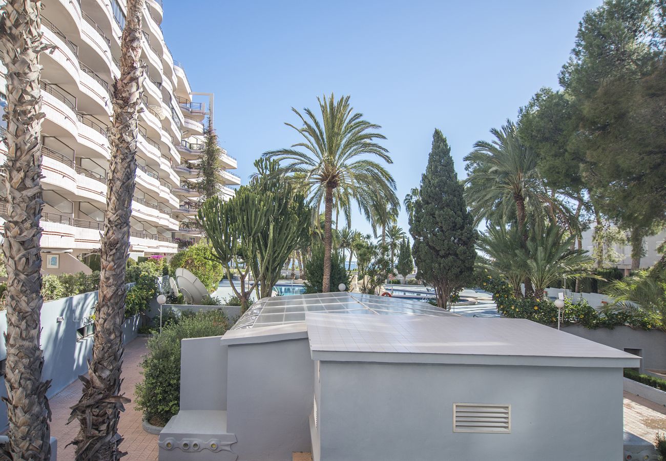 Apartamento en Calpe - PARAISOMAR - 51B