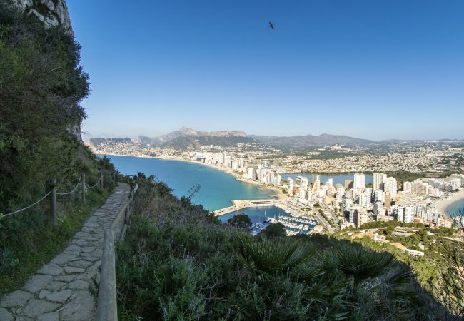 Ferienwohnung in Calpe / Calp - PARAISOMAR - 32C