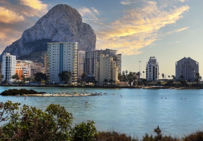 Ferienwohnung in Calpe / Calp - PARAISOMAR - *24C