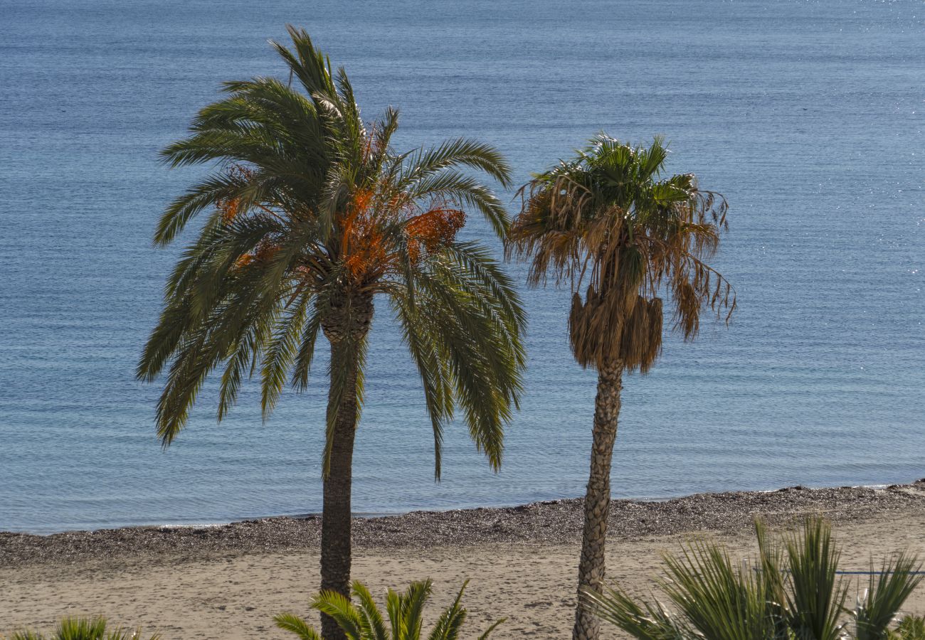 Ferienwohnung in Calpe / Calp - HIPOCAMPOS - 34A