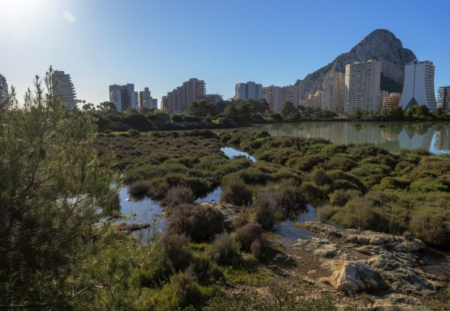 Apartment in Calpe - PARAISOMAR - 411B Apartment in Calpe - PARAISOMAR - 411B