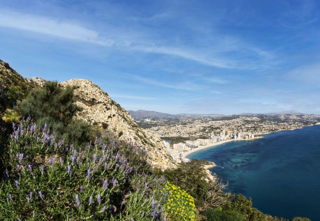 Апартаменты на Кальпе / Calpe - PARAISOMAR - 25C