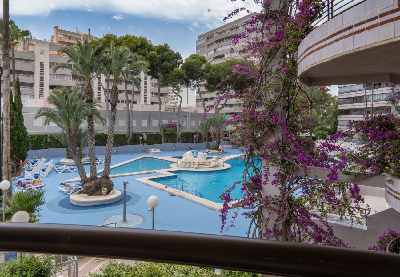 Апартаменты на Кальпе / Calpe - PARAISOMAR - *39B PREMIUM